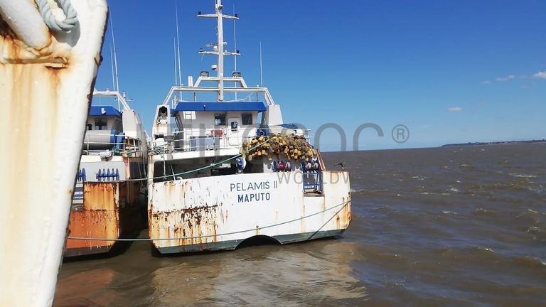 Atuneiro PELAMIS II - Longliner PELAMIS II
