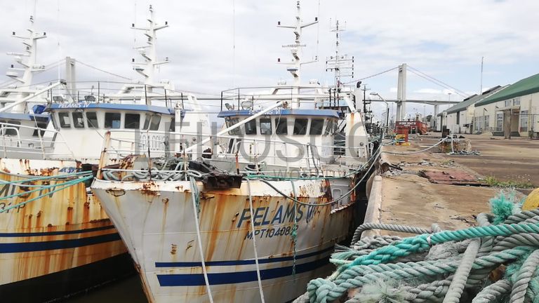Atuneiro PELAMIS VI - Longliner PELAMIS VI