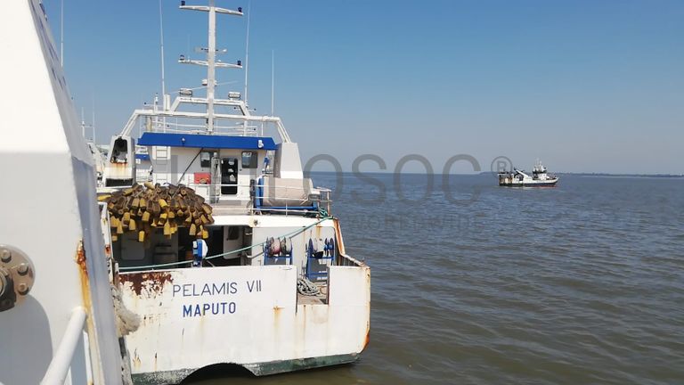 Atuneiro PELAMIS VII - Longliner PELAMIS VII