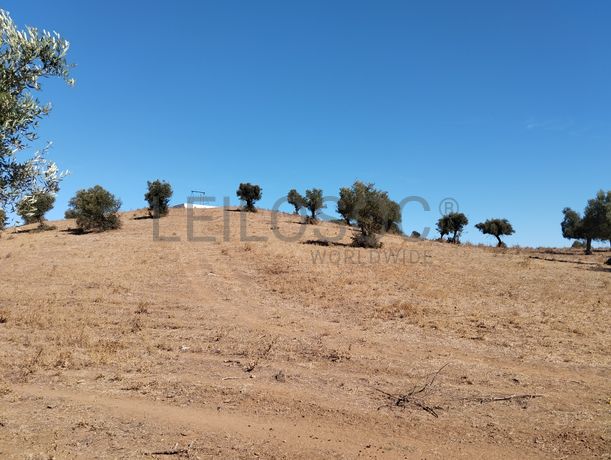 Terreno · Montemor-o-Novo