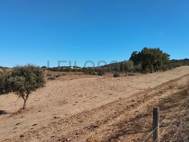 Terreno · Montemor-o-Novo