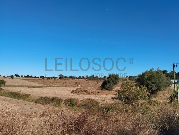 Terreno · Montemor-o-Novo