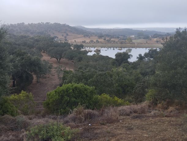 Terreno · Montemor-o-Novo