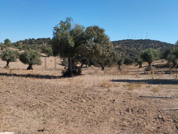 Proporção de 14/24 de Moradia com Terreno com 15,8 hectares · Montemor-o-Novo