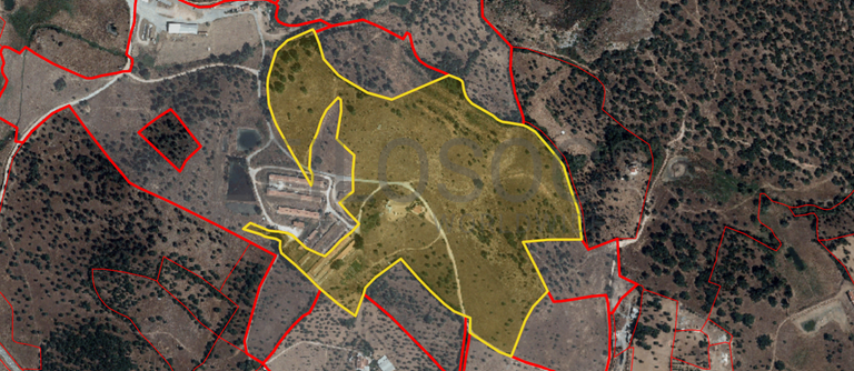Proporção de 14/24 de Moradia com Terreno com 15,8 hectares · Montemor-o-Novo
