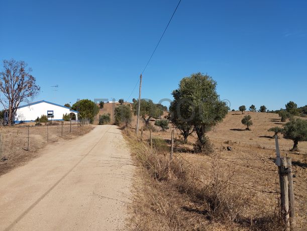 Proporção de 14/24 de Moradia com Terreno com 15,8 hectares · Montemor-o-Novo