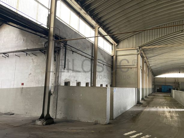 Estrutura / Armazém