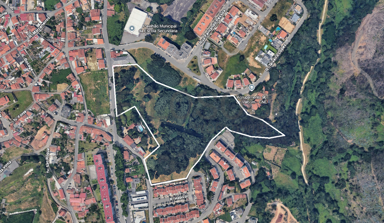 Terreno com +3 hectares · Valbom, Gondomar 