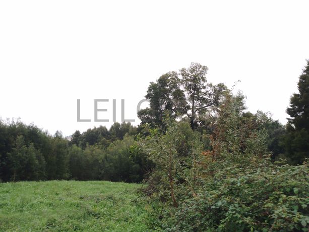 Terreno com +3 hectares · Valbom, Gondomar 