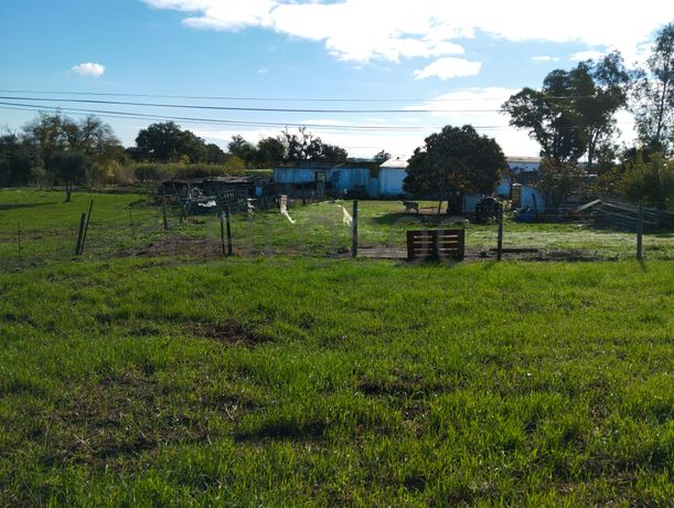 Terreno · Nossa Senhora das Neves, Beja