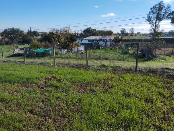 Terreno · Nossa Senhora das Neves, Beja