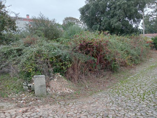 Terreno para Construção · Seixas, Caminha