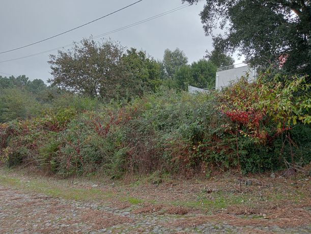 Terreno para Construção · Seixas, Caminha