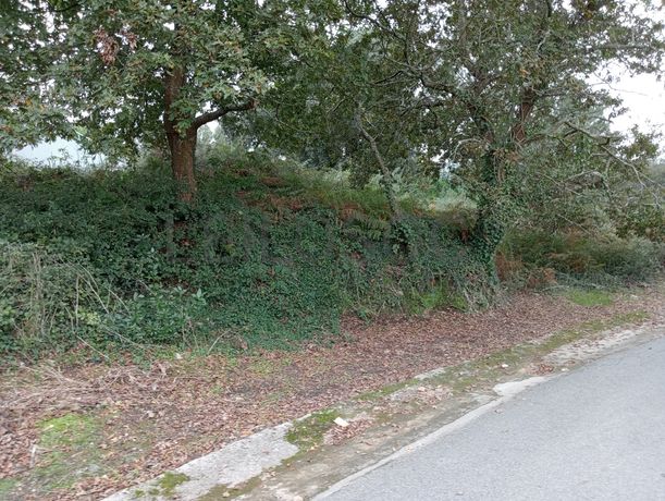 Terreno para Construção · Seixas, Caminha