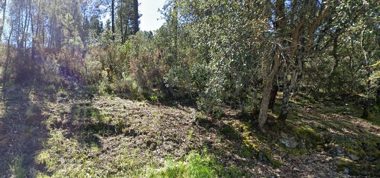 Terreno com 4.080 m² · Silvares, Fundão