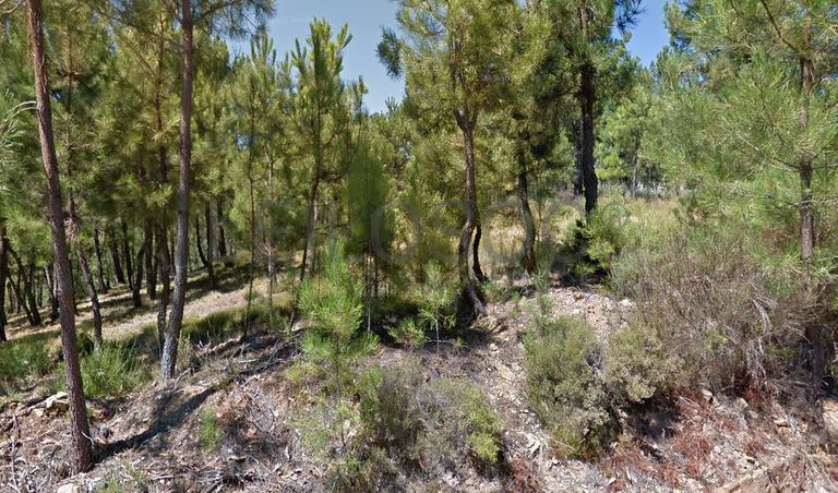 Terreno com 4.900 m² · Silvares, Fundão