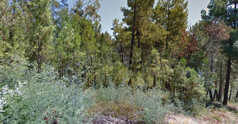 Terreno com 4.900 m² · Silvares, Fundão