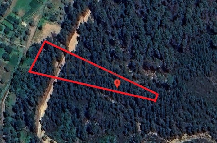 Terreno com 4.900 m² · Silvares, Fundão