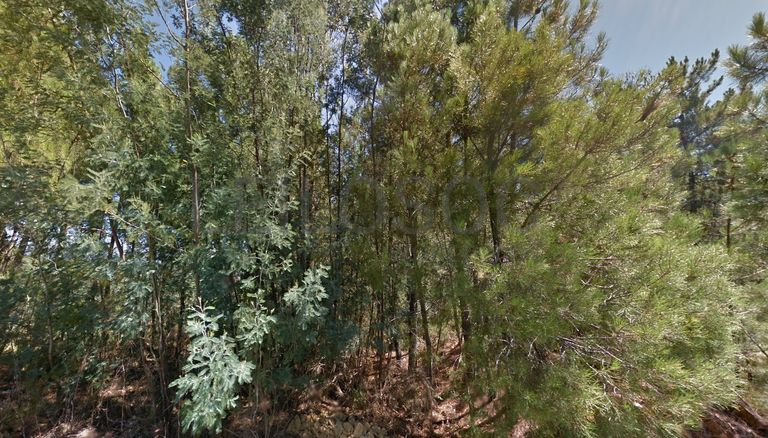 Terreno com 4.900 m² · Silvares, Fundão