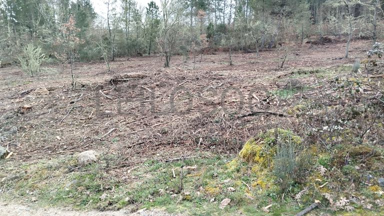 Terreno com 4.980 m² · Aldeia Velha, Sabugal