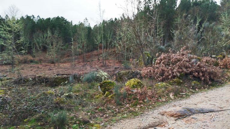 Terreno com 4.980 m² · Aldeia Velha, Sabugal