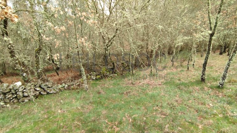 Proporção de 1/2 de Terreno · Aldeia Velha, Sabugal