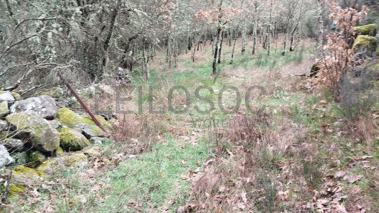 Proporção de 1/2 de Terreno · Aldeia Velha, Sabugal