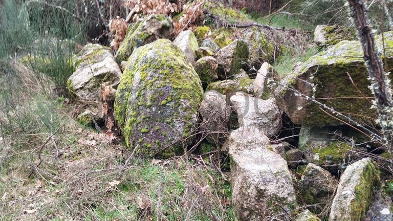 Proporção de 1/2 de Terreno · Aldeia Velha, Sabugal