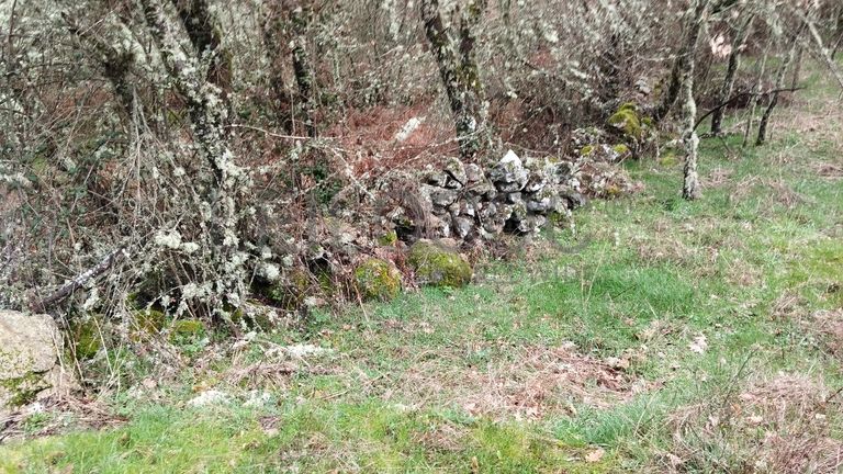 Proporção de 1/2 de Terreno · Aldeia Velha, Sabugal