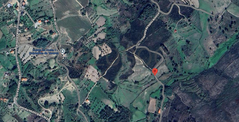 Terreno com 4.250 m² · Mangualde