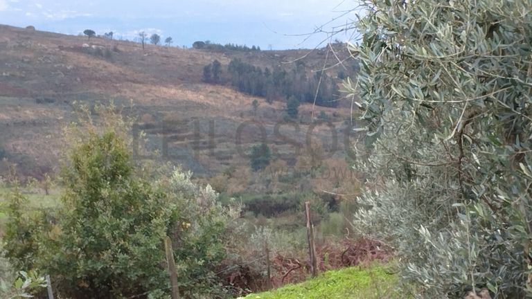 Terreno com 4.250 m² · Mangualde