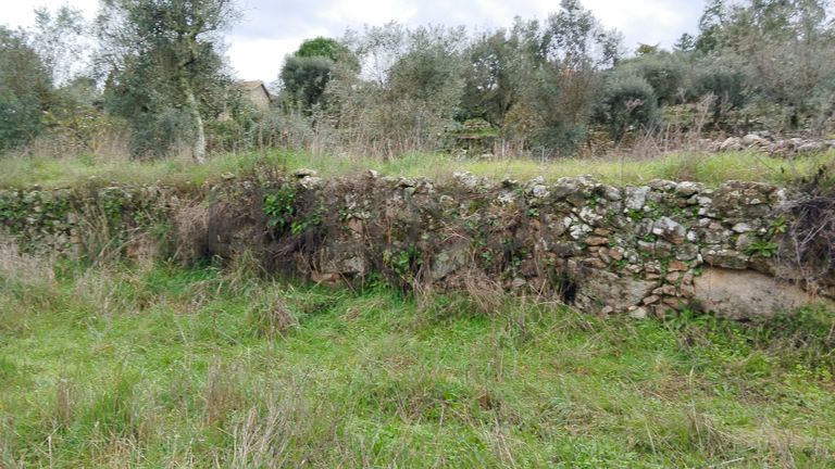 Terreno com 700 m² · Mangualde