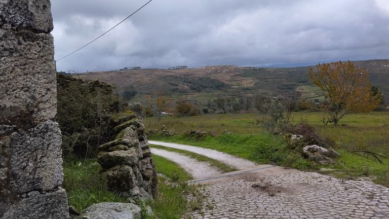 Terreno com 700 m² · Mangualde