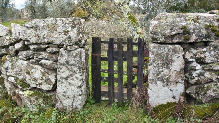 Terreno com 700 m² · Mangualde