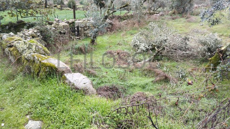 Terreno com 700 m² · Mangualde