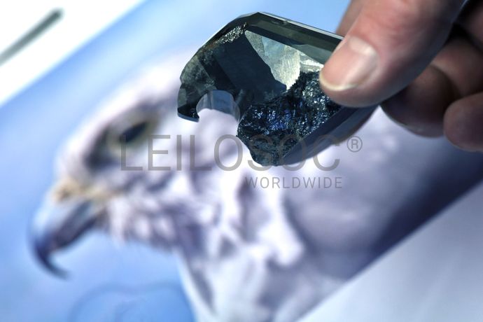 The Black Falcon - World's Biggest Black Diamond