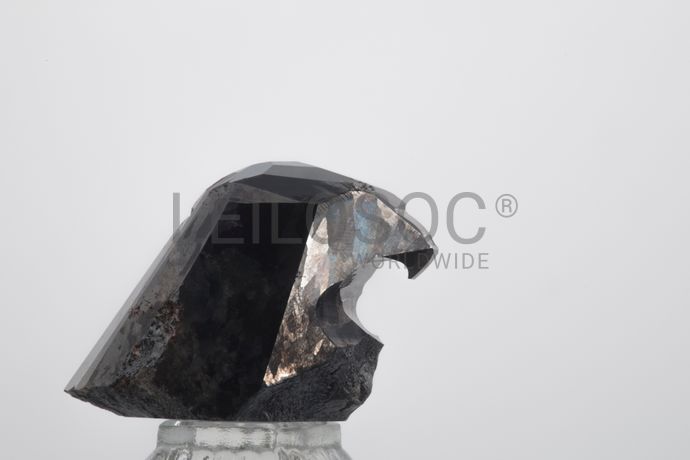 The Black Falcon - World's Biggest Black Diamond