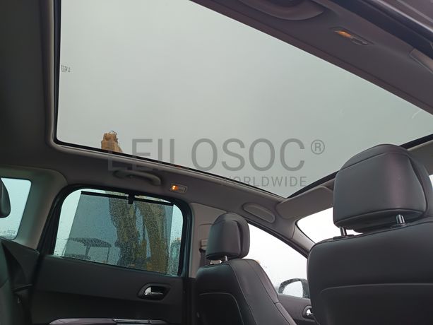 Peugeot 3008 · Ano 2009