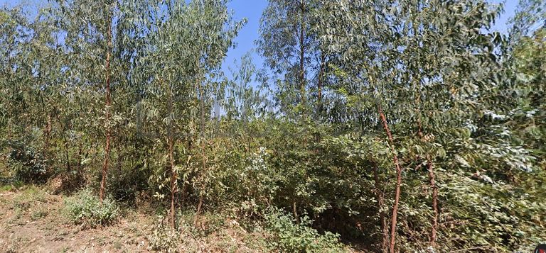 Terreno com 660 m² · Vila Nova de Poiares