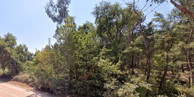 Terreno com 475 m² · Vila Nova de Poiares