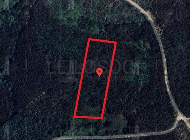 Proporção de 1/2 de Terreno com 6.496 m² · Vila Nova de Poiares