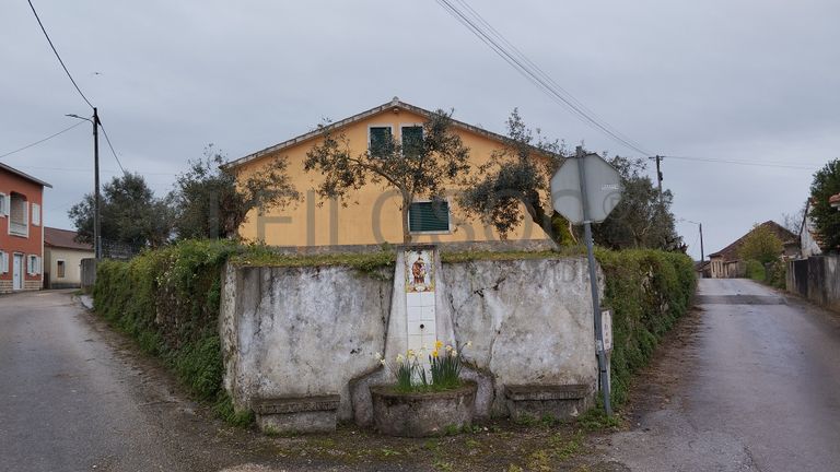 Quinhão Hereditário · Ferreira do Zêzere