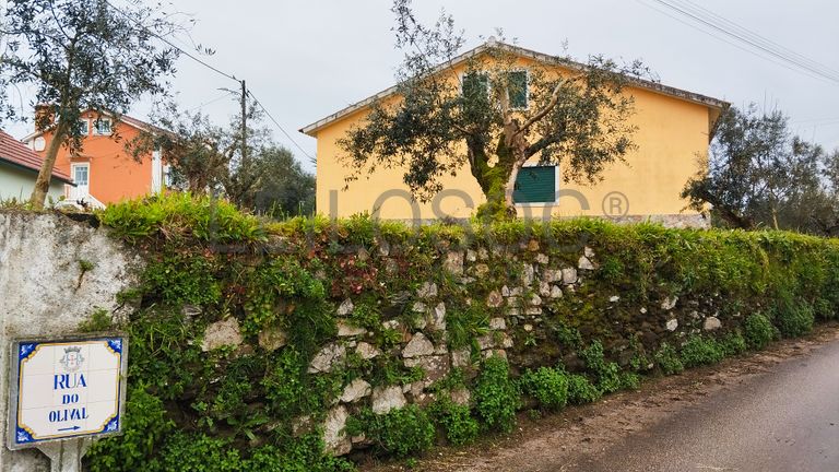 Quinhão Hereditário · Ferreira do Zêzere