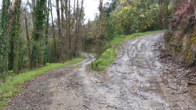 Quinhão Hereditário · Ferreira do Zêzere