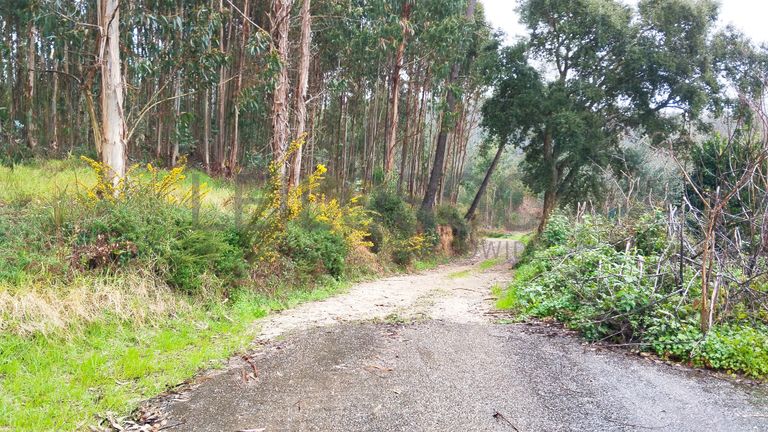 Quinhão Hereditário · Ferreira do Zêzere