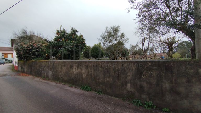 Quinhão Hereditário · Ferreira do Zêzere