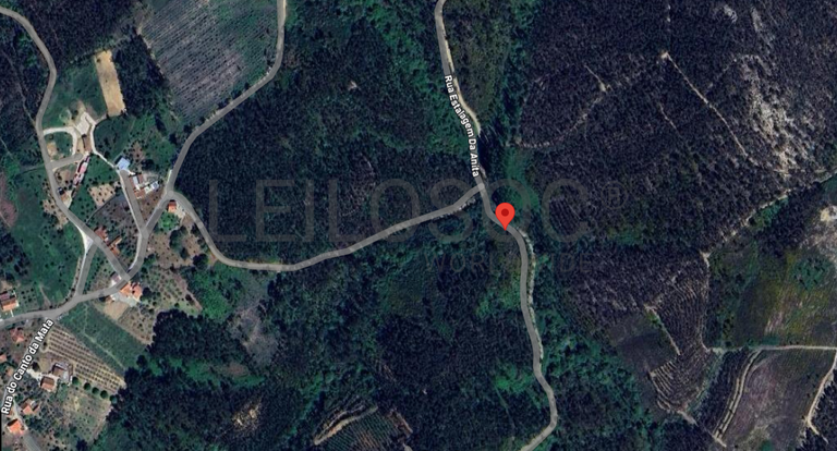 Quinhão Hereditário · Ferreira do Zêzere