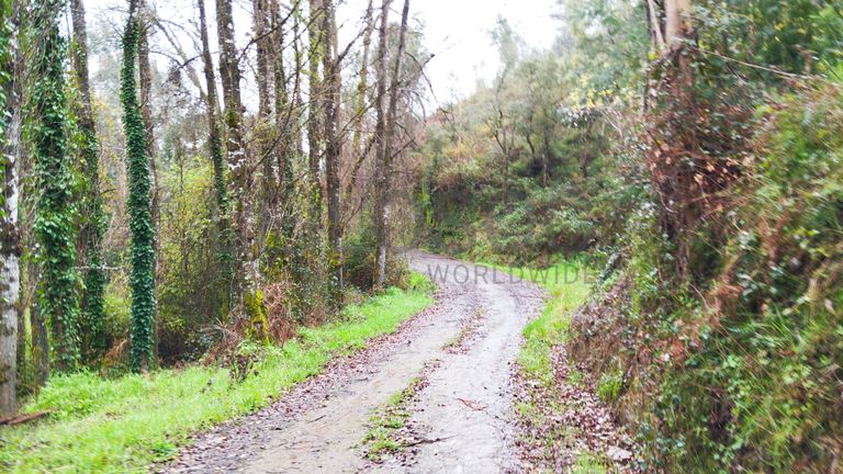 Quinhão Hereditário · Ferreira do Zêzere