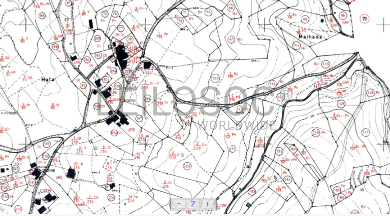 Quinhão Hereditário · Ferreira do Zêzere