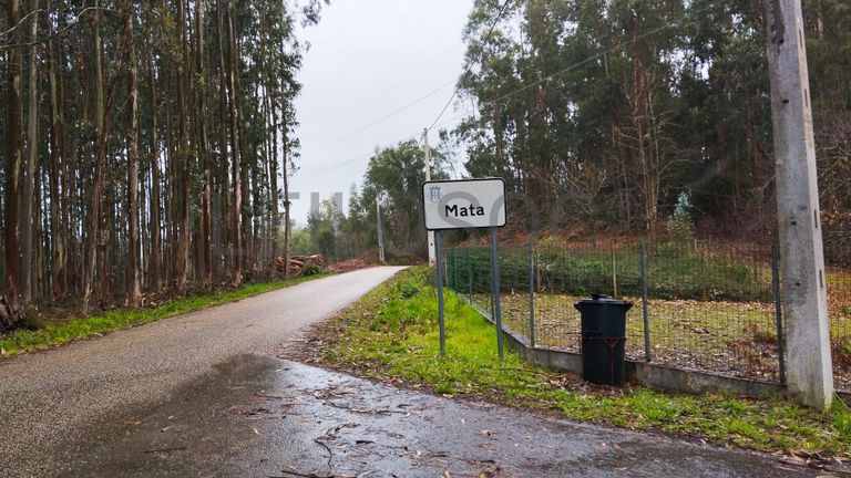 Quinhão Hereditário · Ferreira do Zêzere